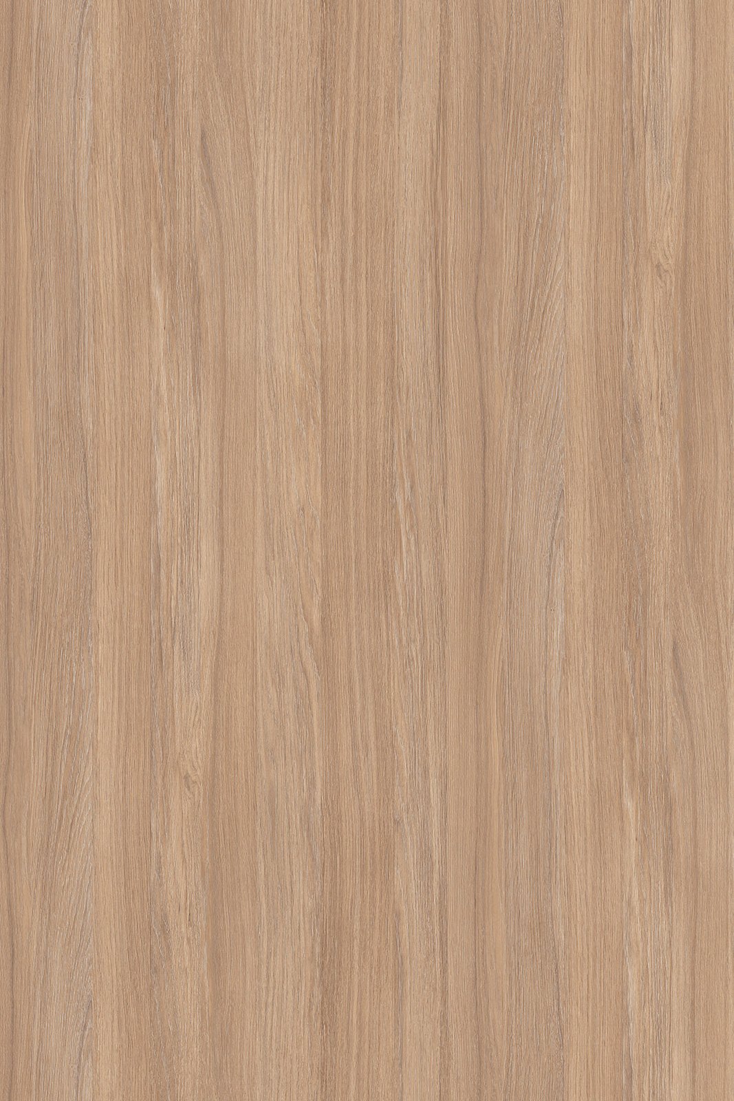 Amber Urban Oak