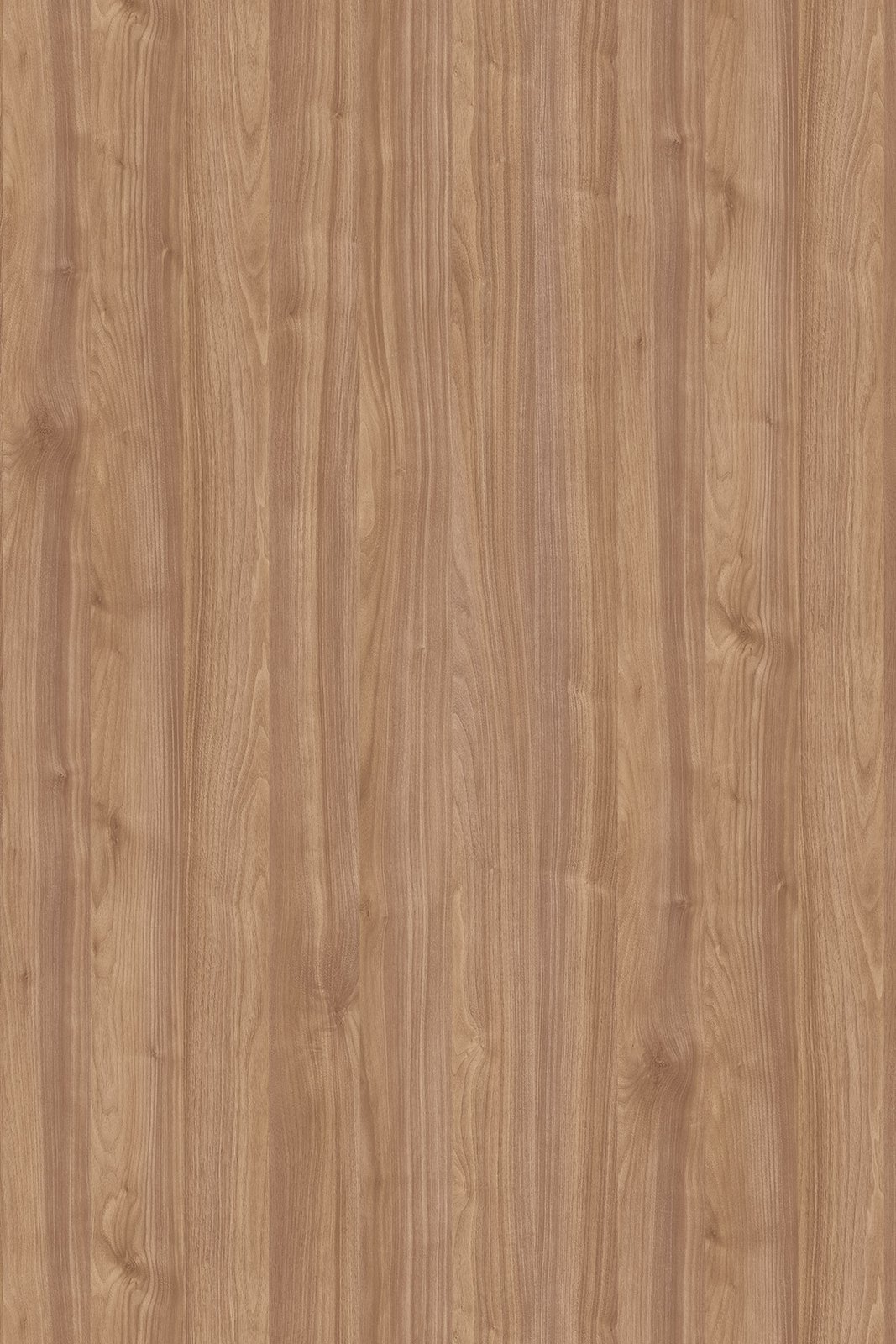 Light Select Walnut