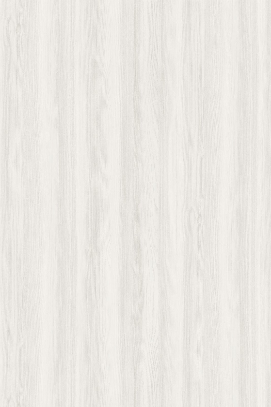 Pure Surfside Ash